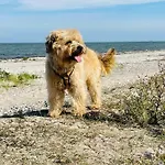 Casa vacanze Strandhaus Cook Teichhof Fehmarn