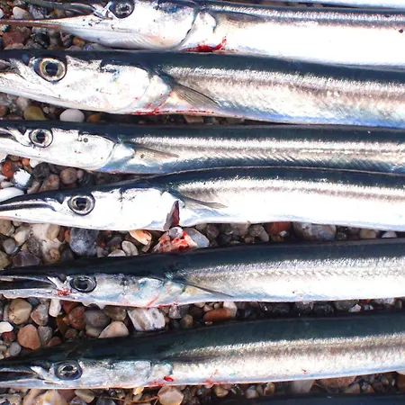Semesterbostad Strandhaus Cook Teichhof Fehmarn